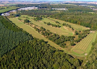 Percy Wood Country Park in Northumberland, North East England