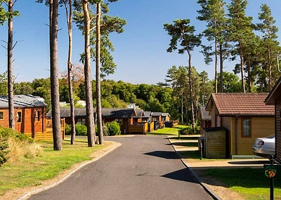 Percy Wood Country Park in Northumberland, North East England